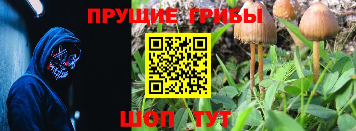Псилоцибиновые грибы прущие грибы Барабинск